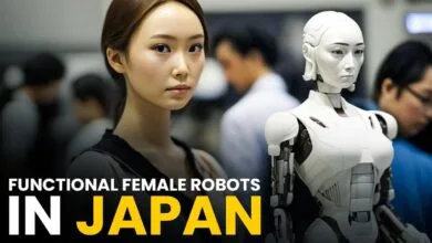 Female Robot Wife