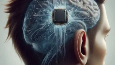 Neuralink to Start Human Trial