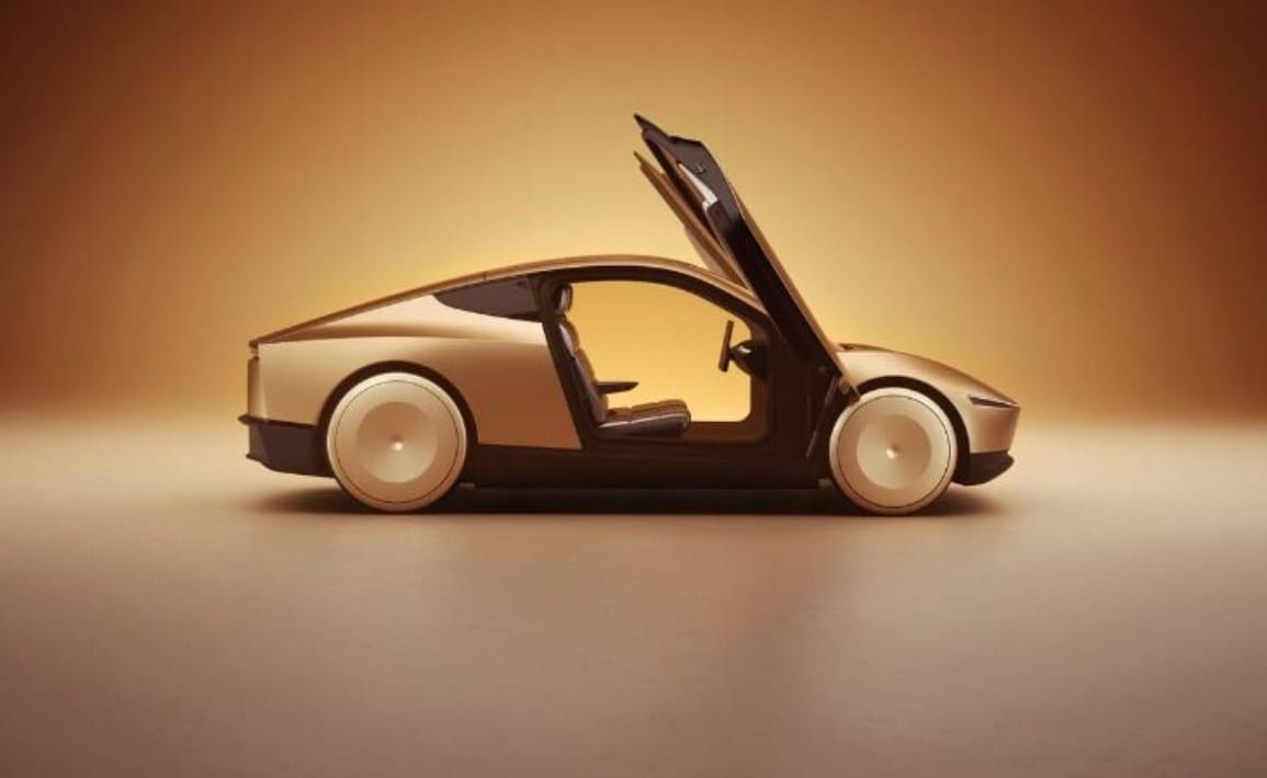 Tesla Robotaxi